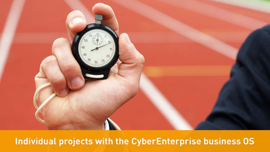 Individual projects with the CyberEnterprise business OS